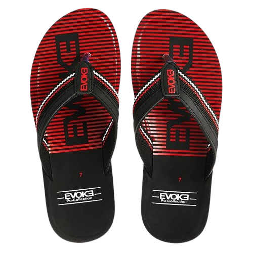 evoke removebg preview (1)